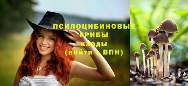 ALPHA PVP Бугульма
