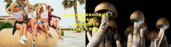 ГАЛЛЮЦИНОГЕННЫЕ ГРИБЫ Бронницы