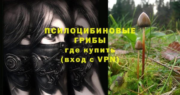 альфа пвп Бородино