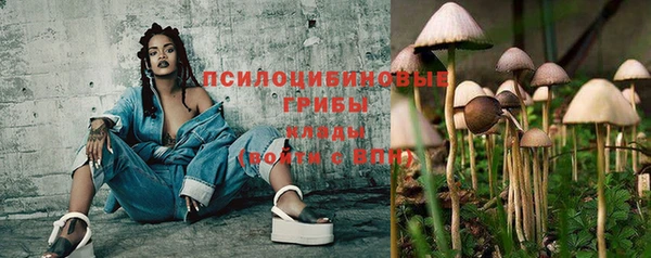 ALPHA PVP Бугульма