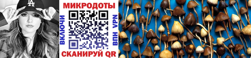 закладки  Южно-Сухокумск  Галлюциногенные грибы Magic Shrooms 